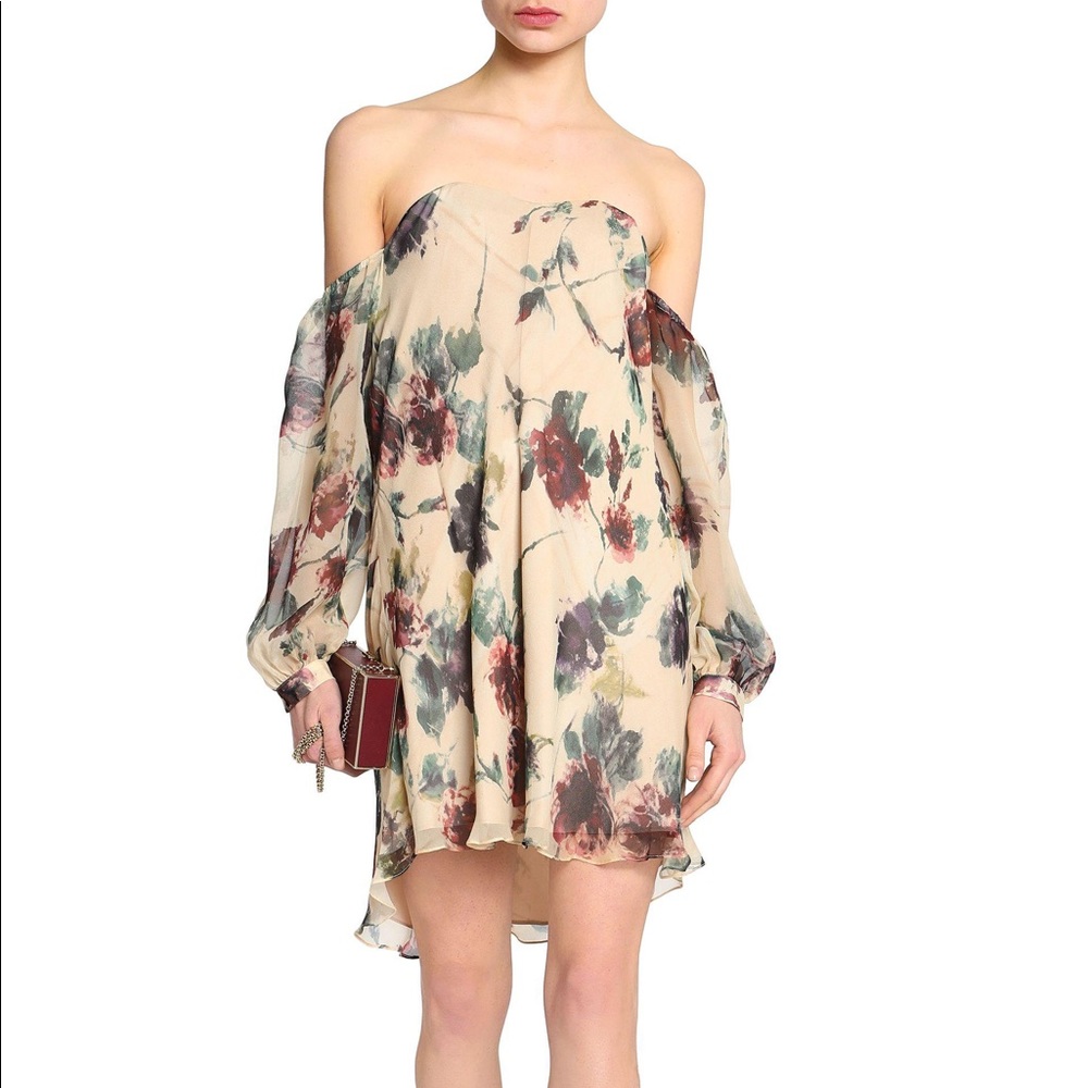 Haute Hippie Dress